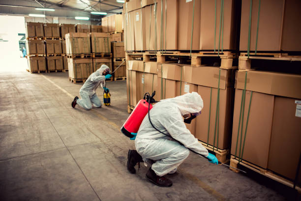 Best Pest Control Near Me  in Manning, SC