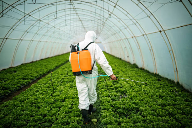 Insect Control in Manning, SC