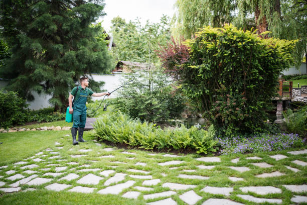 Best Pest Control for Homes  in Manning, SC