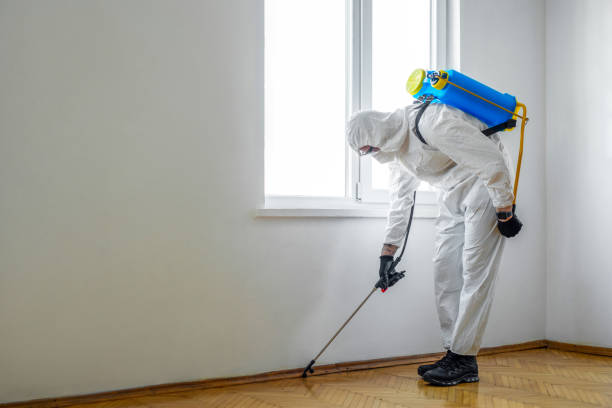 Pest Control for Restaurants in Manning, SC