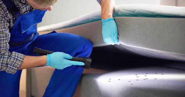 Trusted Manning, SC Pest Control Experts