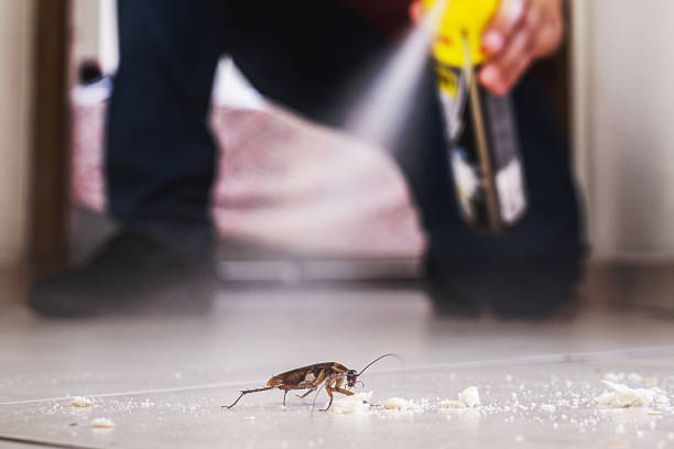 Manning, SC Pest Control Company