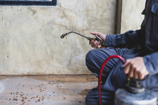 Best Affordable Pest Control Services  in Manning, SC