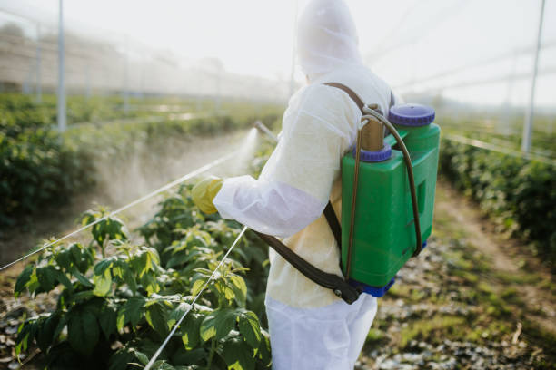 Best Bed Bug Extermination  in Manning, SC